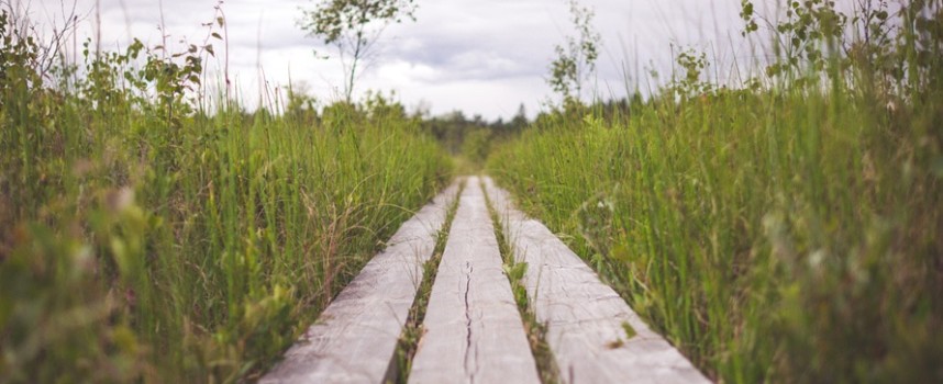 2 Planks Necessary in a Platform for Future Evangelical Political Witness